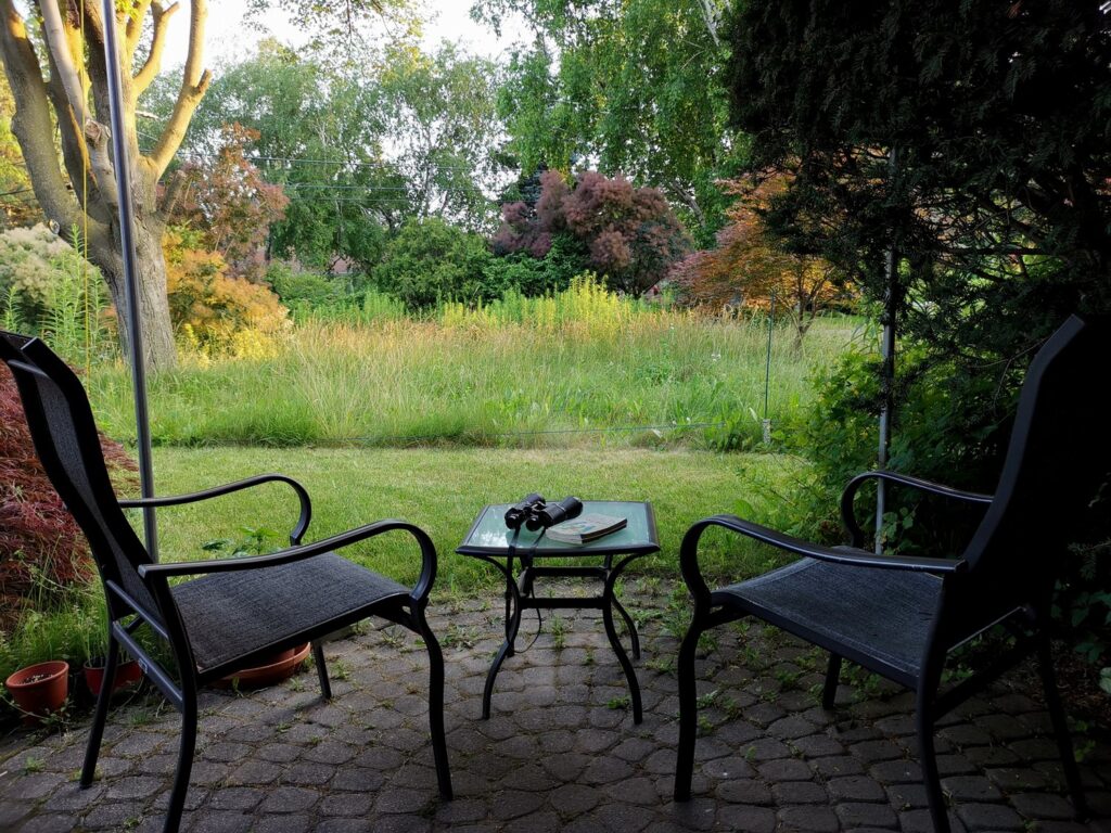 Cities must not set standards for beauty – CCF to intervene in court of appeal case about naturalized gardens