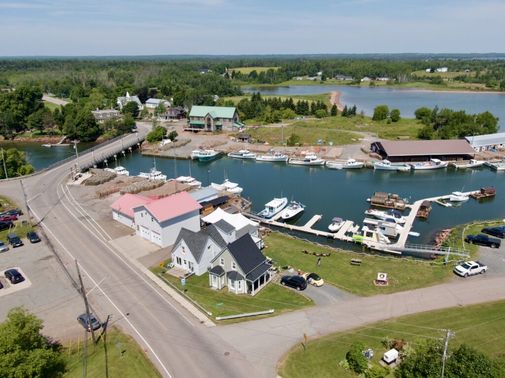 PEI court finds local councillor’s free expression case meritorious, but cannot proceed