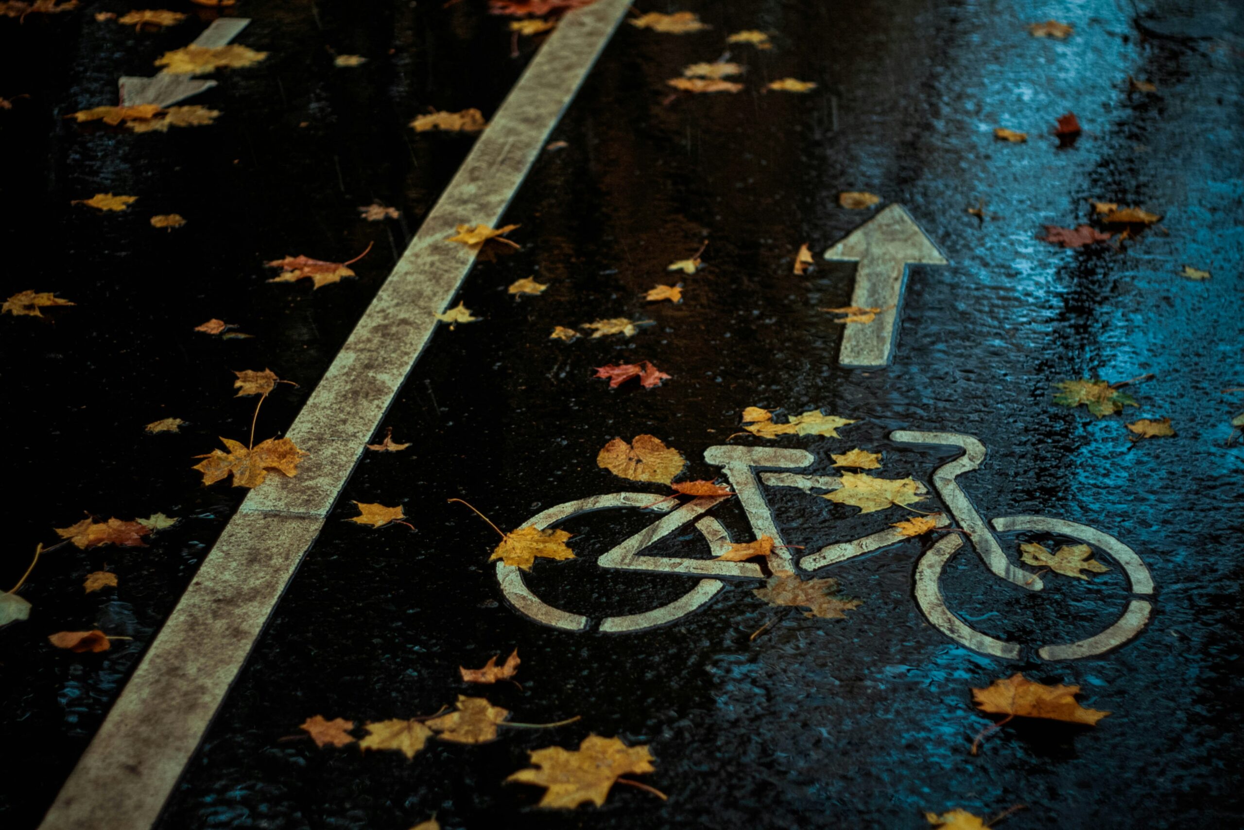CCF Intervenes to Stop Charter Being Stretched to Protect Bike Lanes