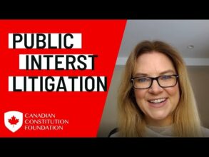 Freedom Update: What is public interest litigation and why does it matter?