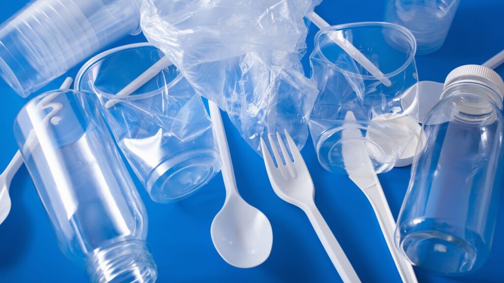 Canadian Constitution Foundation in court this week intervening in “plastics ban” case