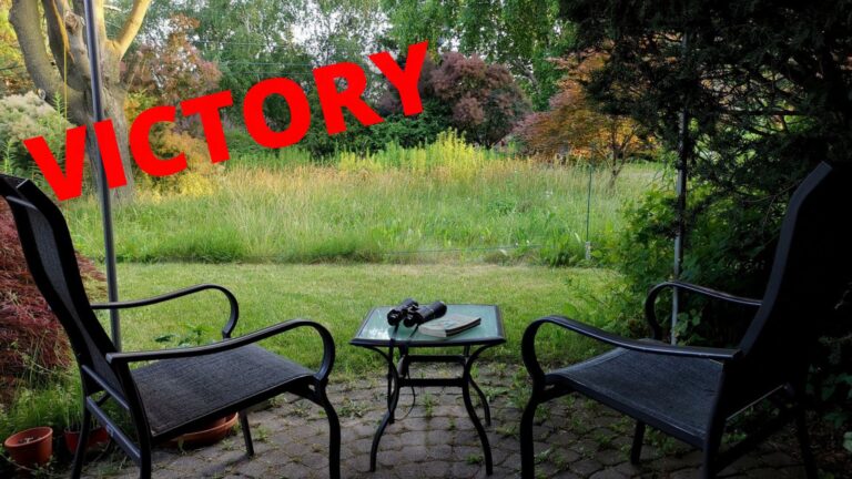VICTORY: Ontario court strikes down bylaw that let city mow down naturalized garden